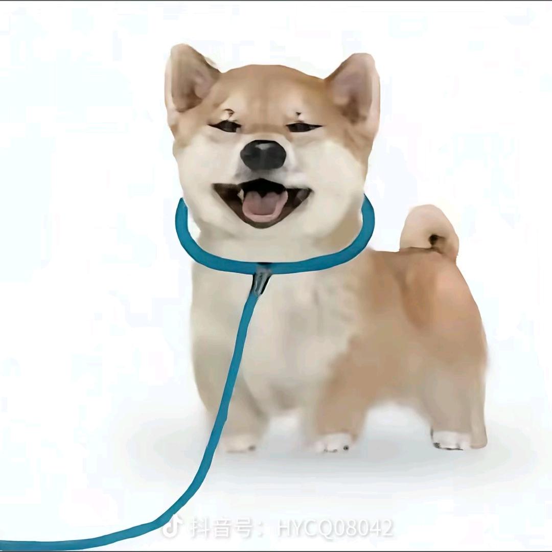 •͈ 🌧️.₃ •͈香味🥟