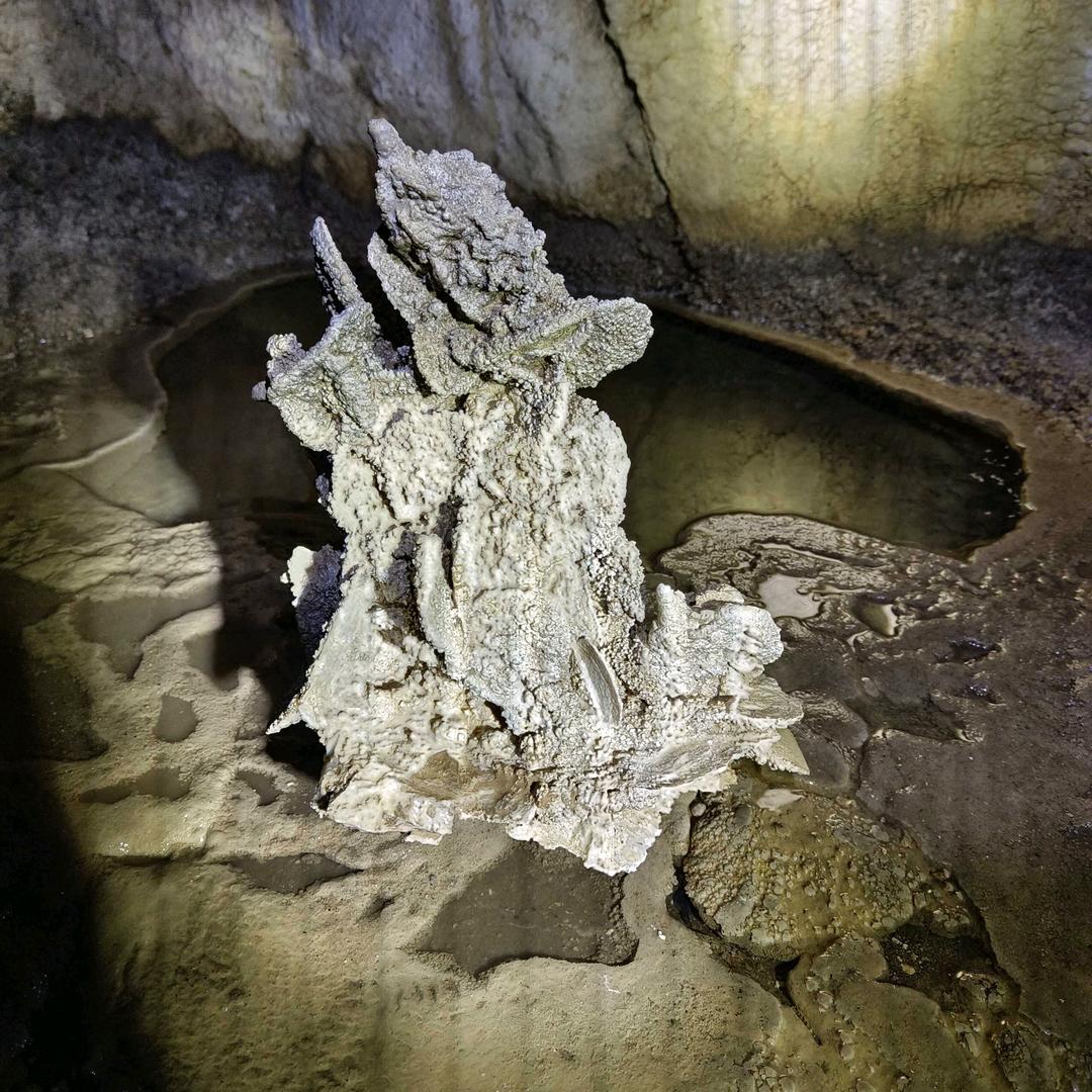 老刘与千年老疙兜