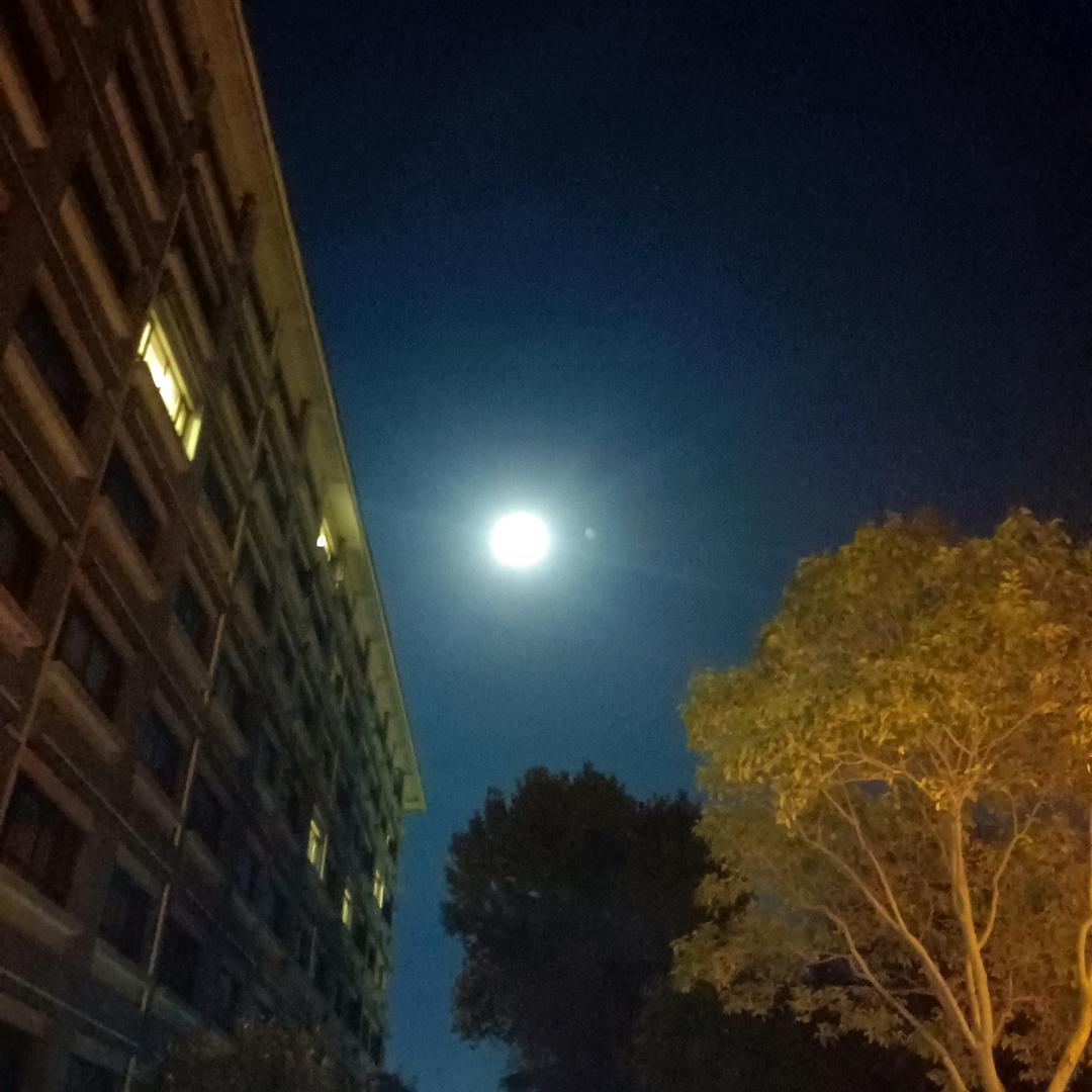 任我行、