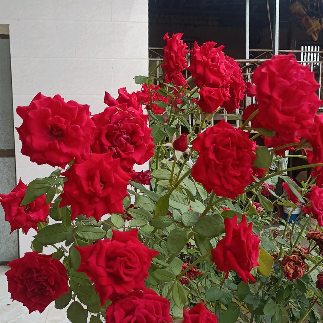 一不小心就老了