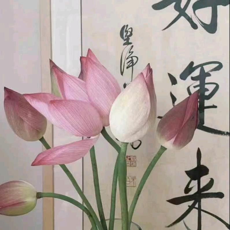 康之家盲人推拿聊城开发区星光和园店