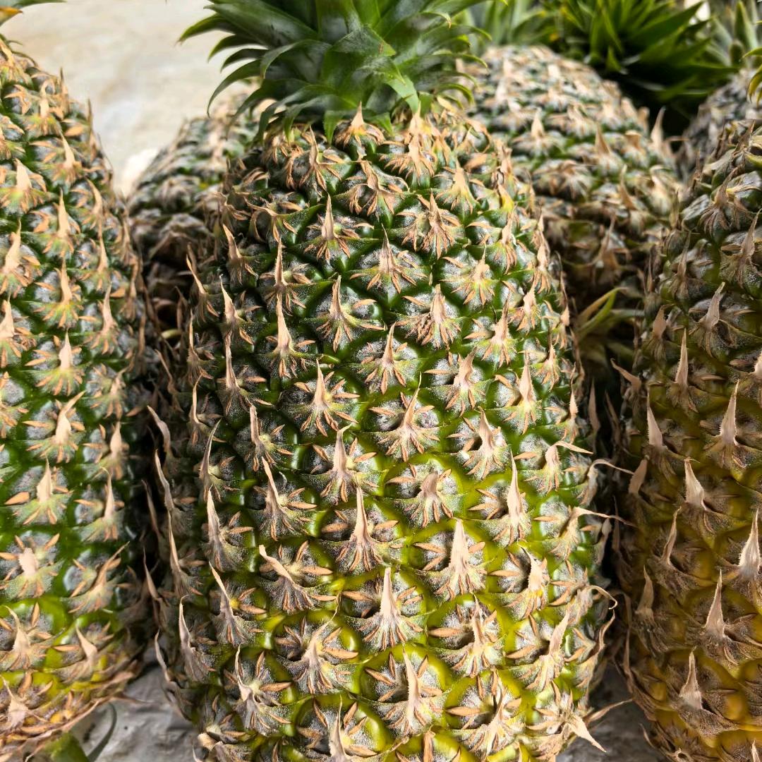 @美味菠萝凤梨摊