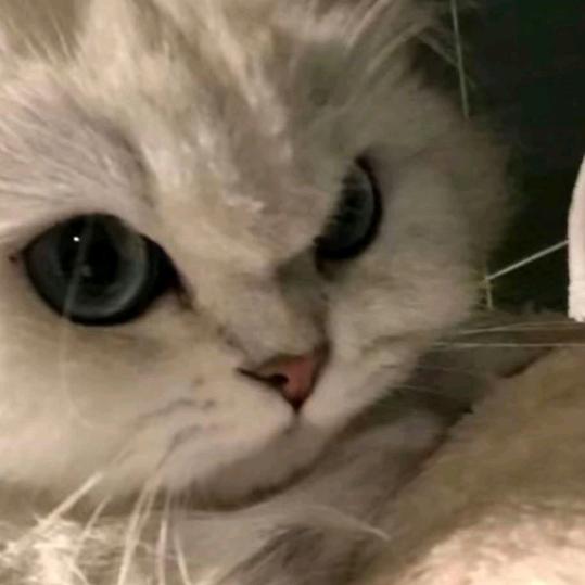 ㊗️快爆爆✨💥🔥