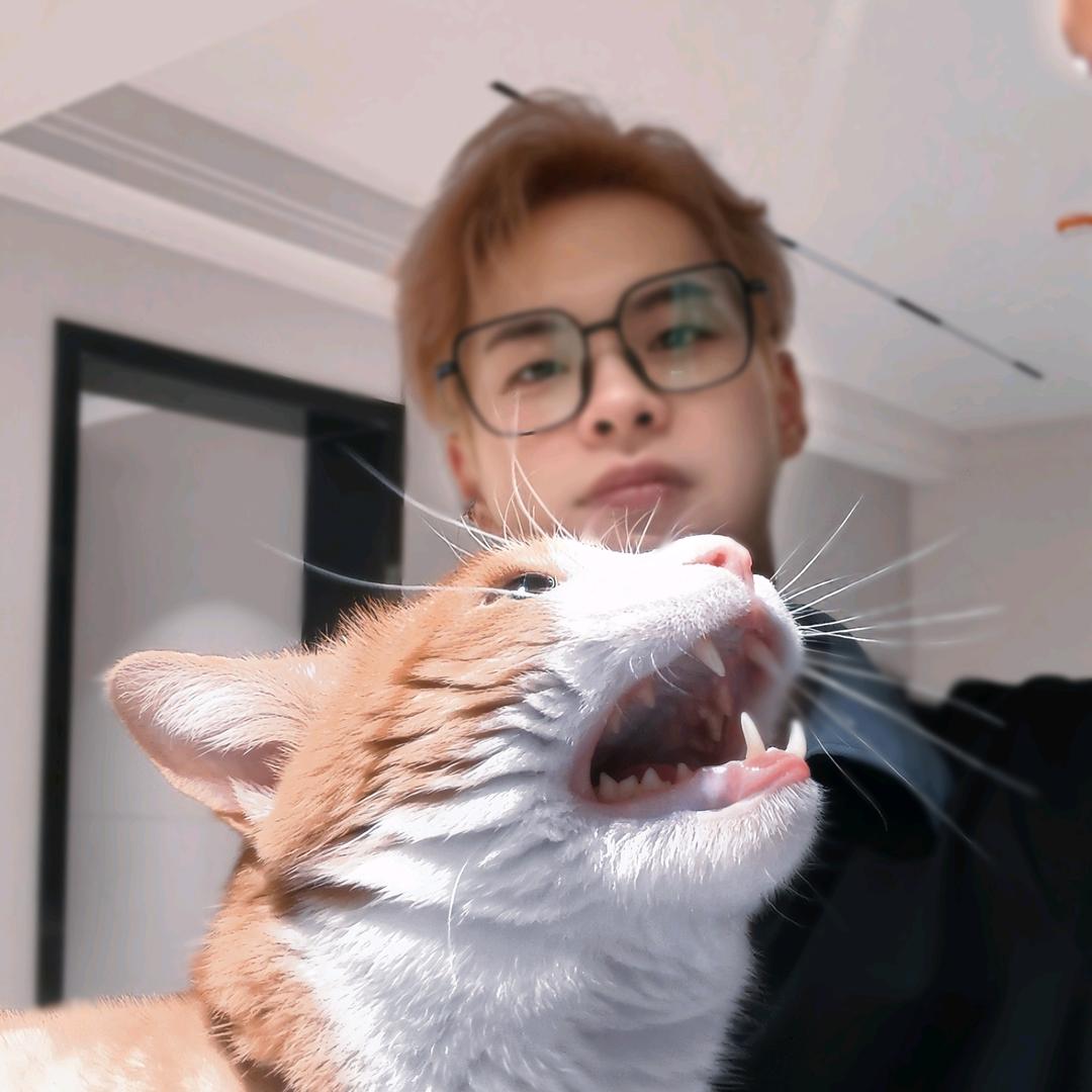 桑尼
