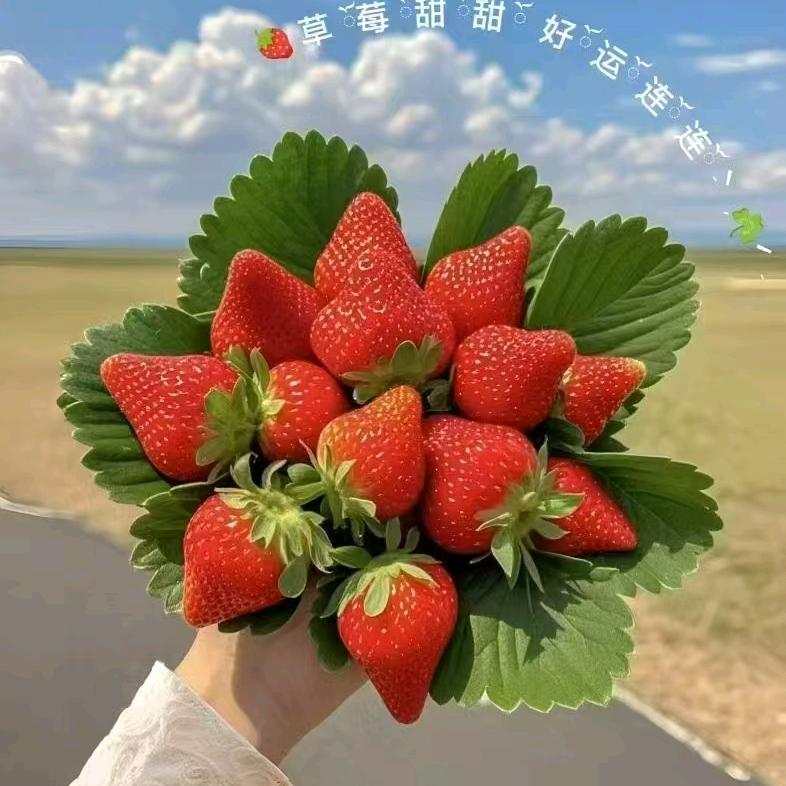 雪花飘玲