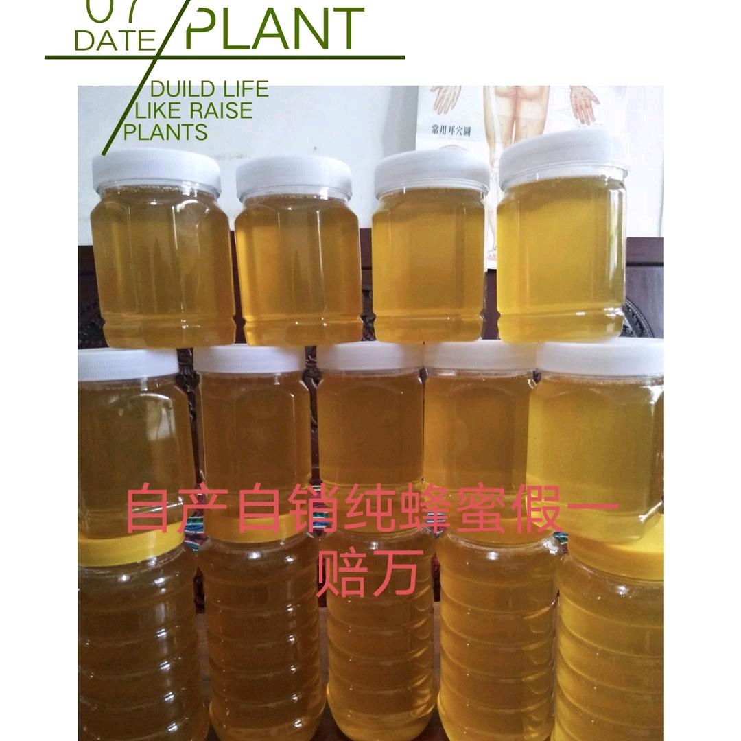 泰安蜜蜂姐