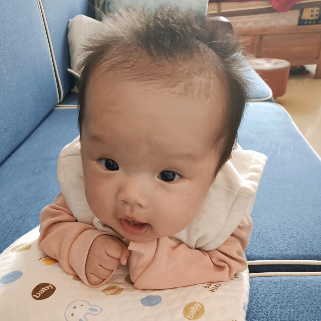 朱凤