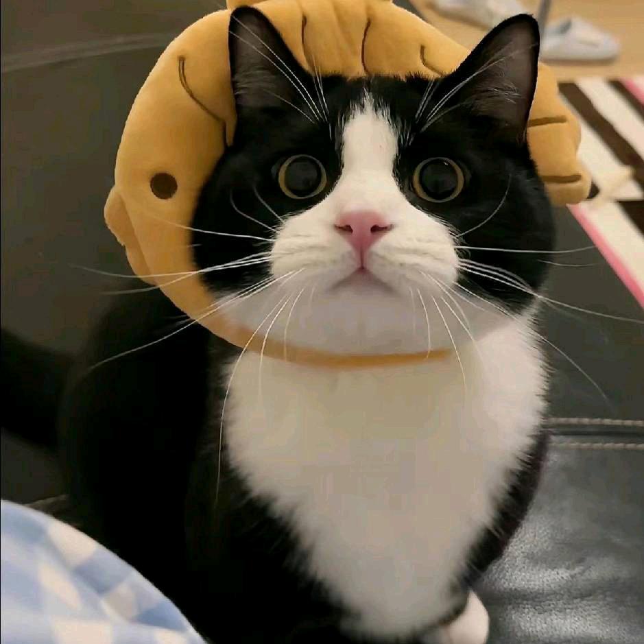 嘿嘿😁