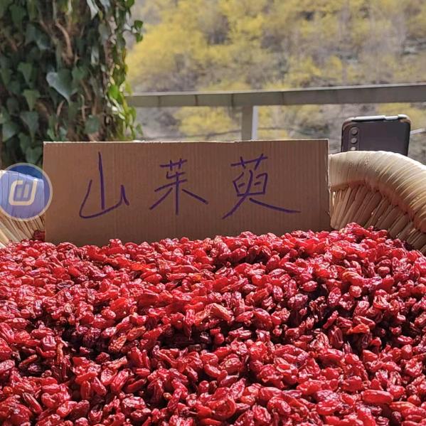 阿飞