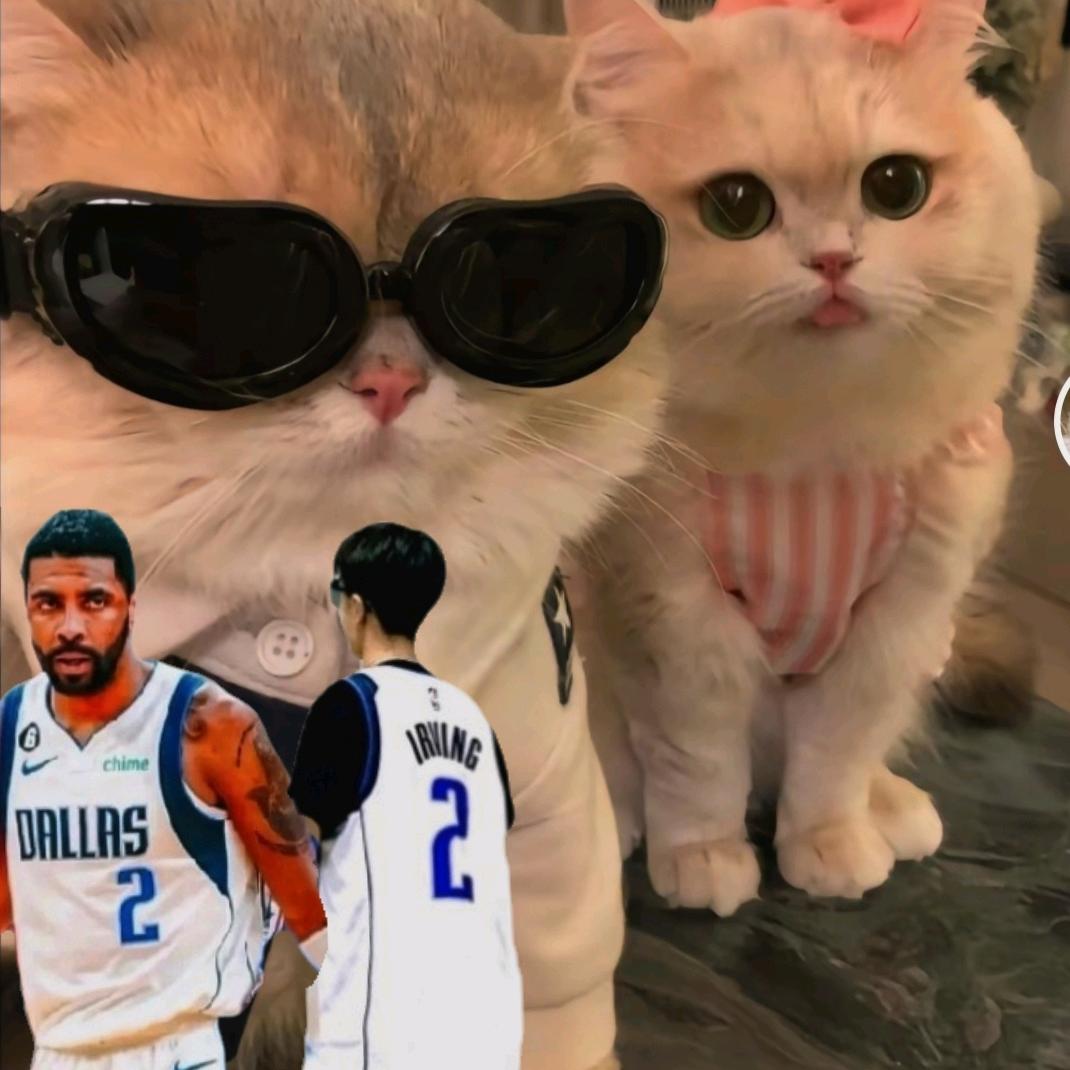 风帆逐梦🇨🇳🐒