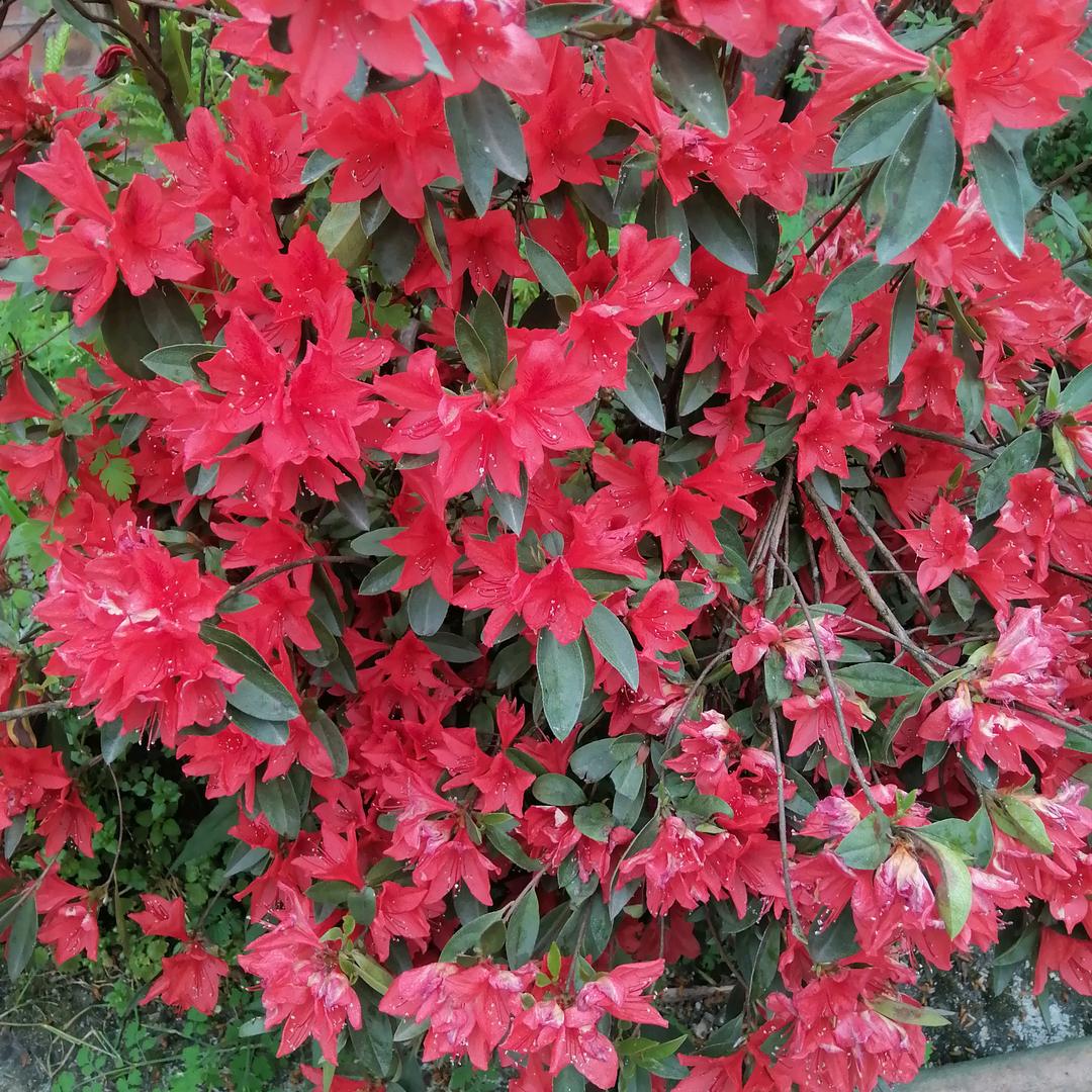 开心过好每一天