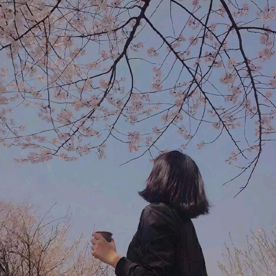 没头脑和不高兴😂