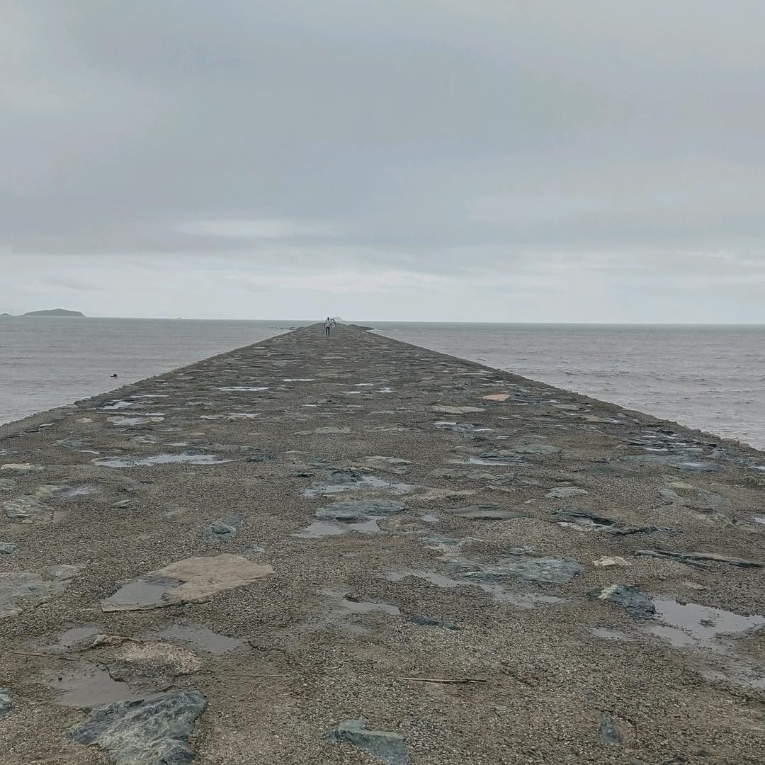 72521882783