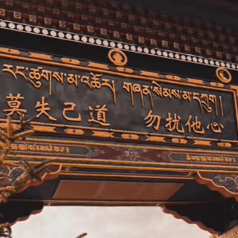 老嘲讽