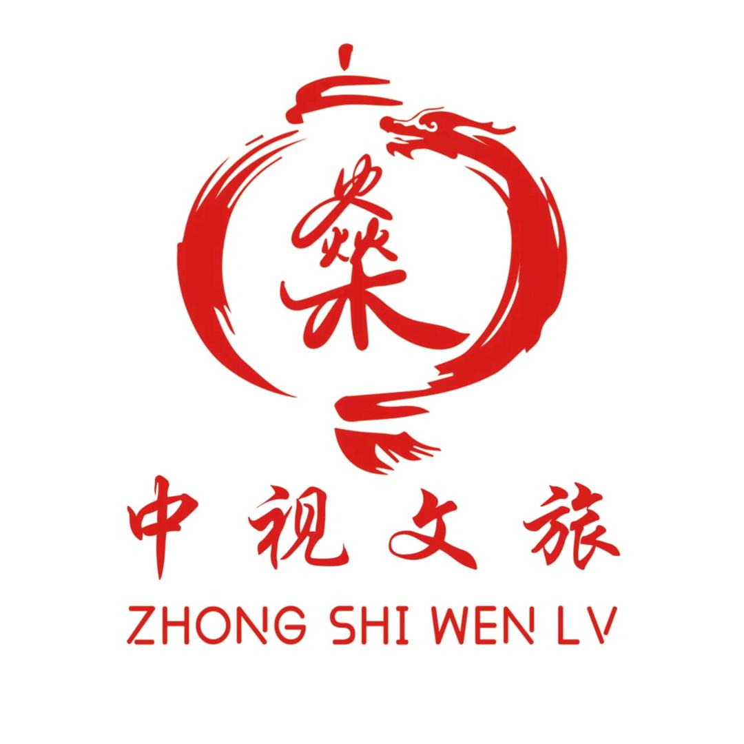 中视文旅运营公司