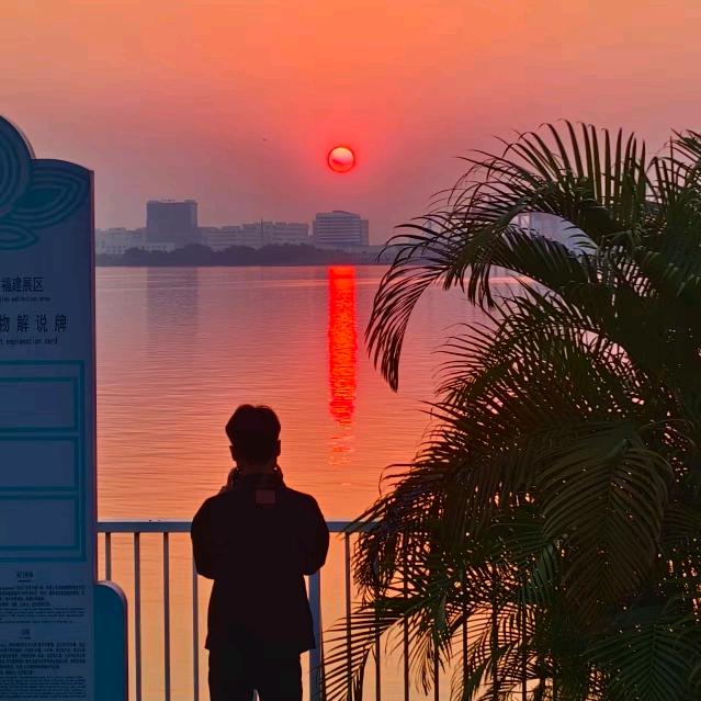 我嘞个豆