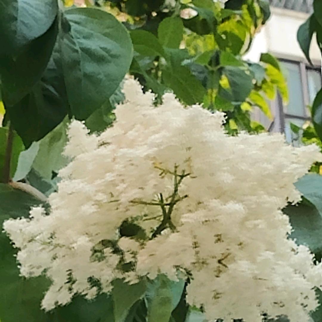 艳姐小超市