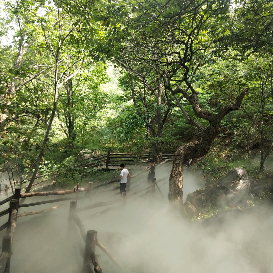 用户24140643顺利