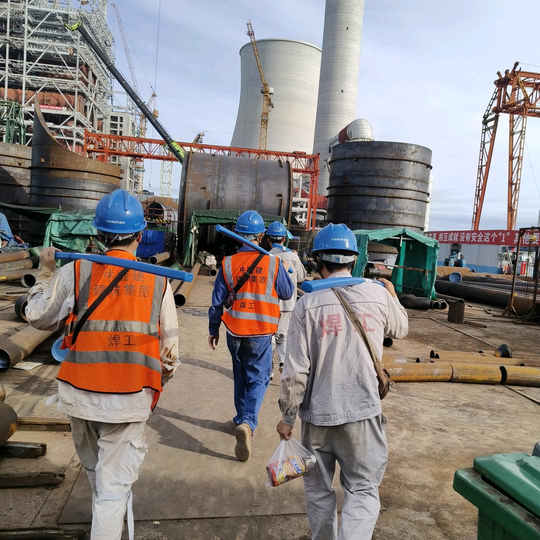 相依为命永相随