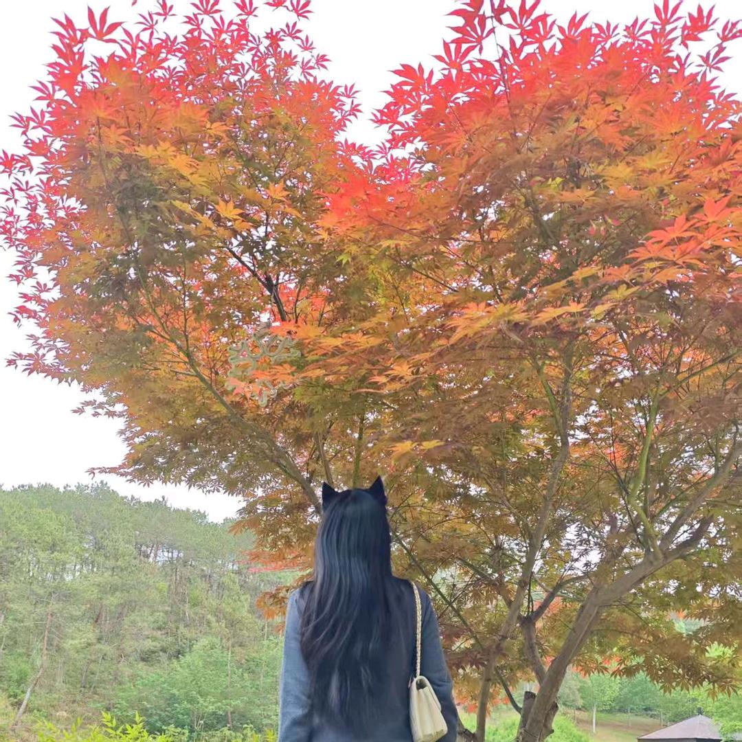 久别辞