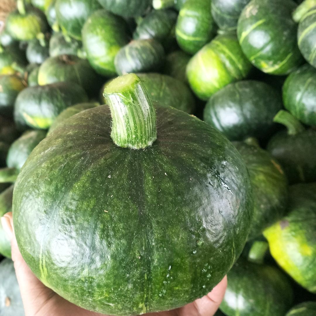 瓜果蔬菜供应链