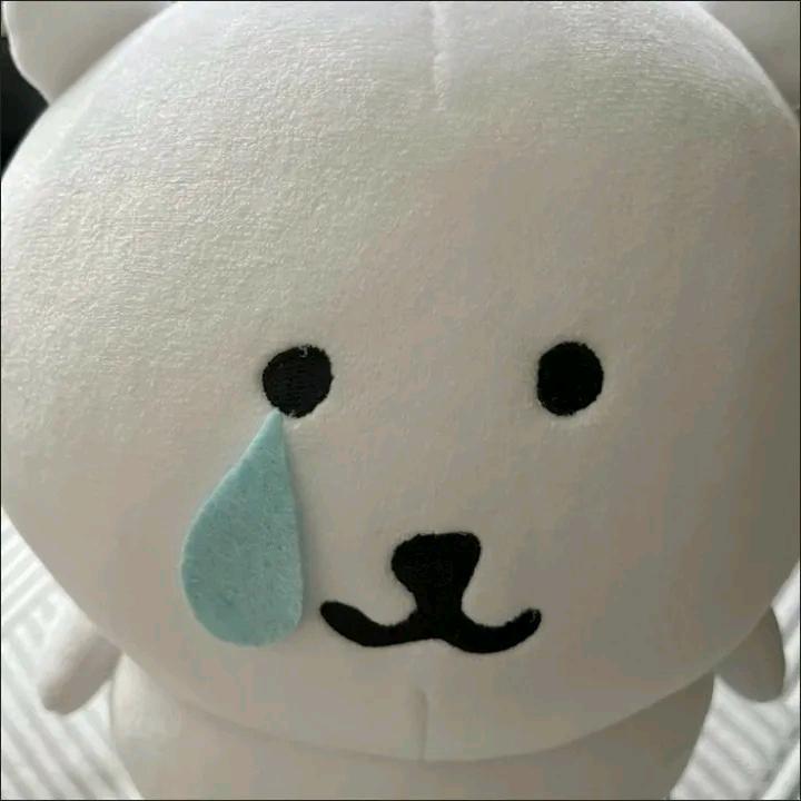 等日落
