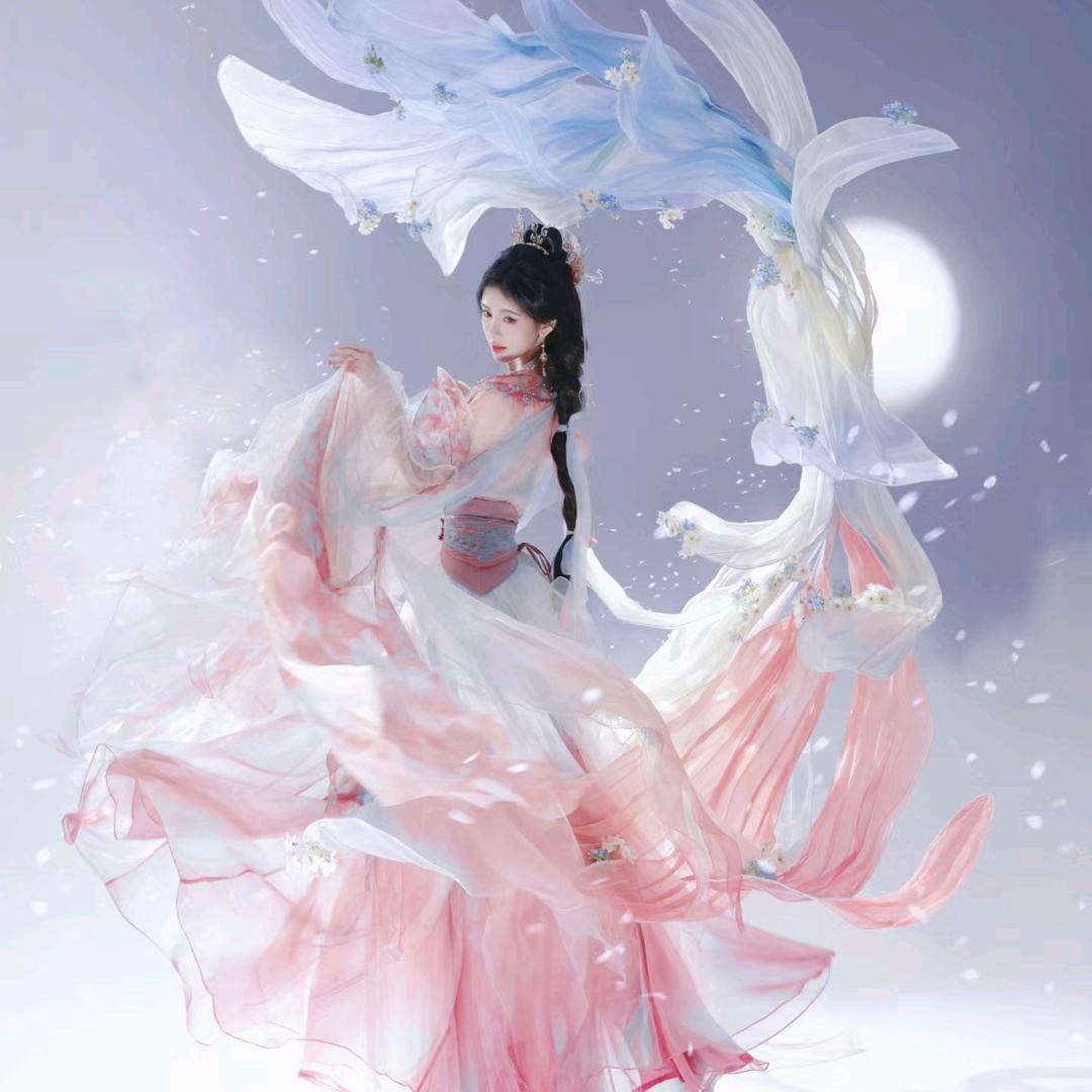 不白🕊️头像