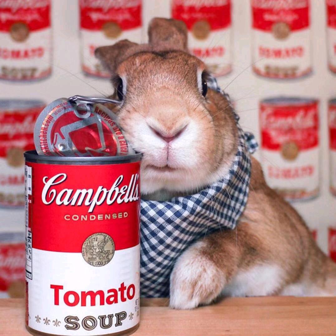 🌈李小彤爱吃鱼