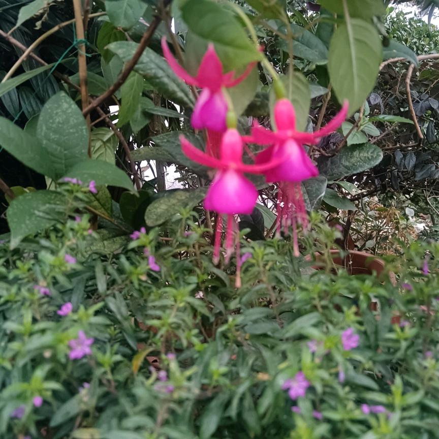 向钱看向厚赚