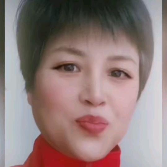 燕子每日清货