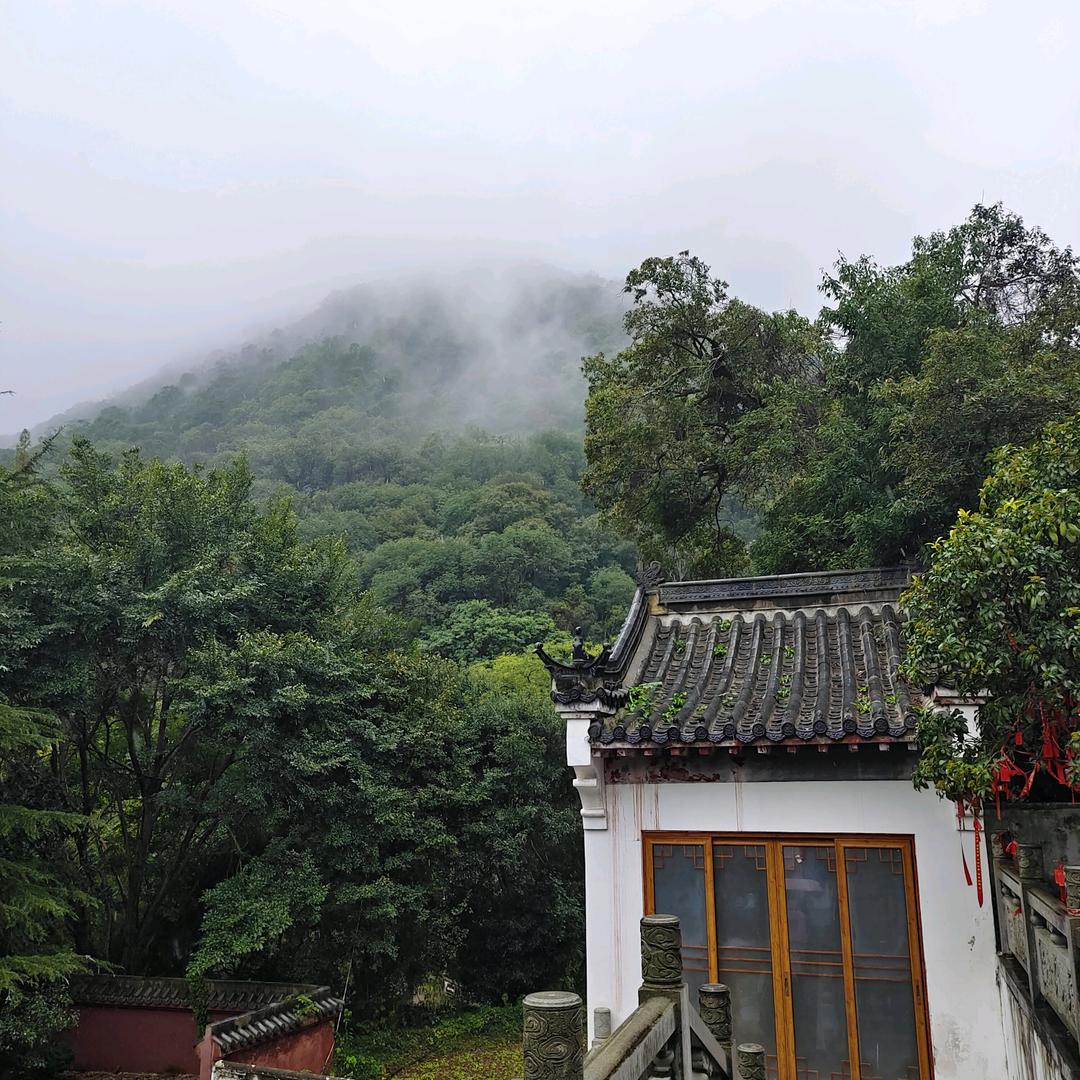 烟雨红尘路