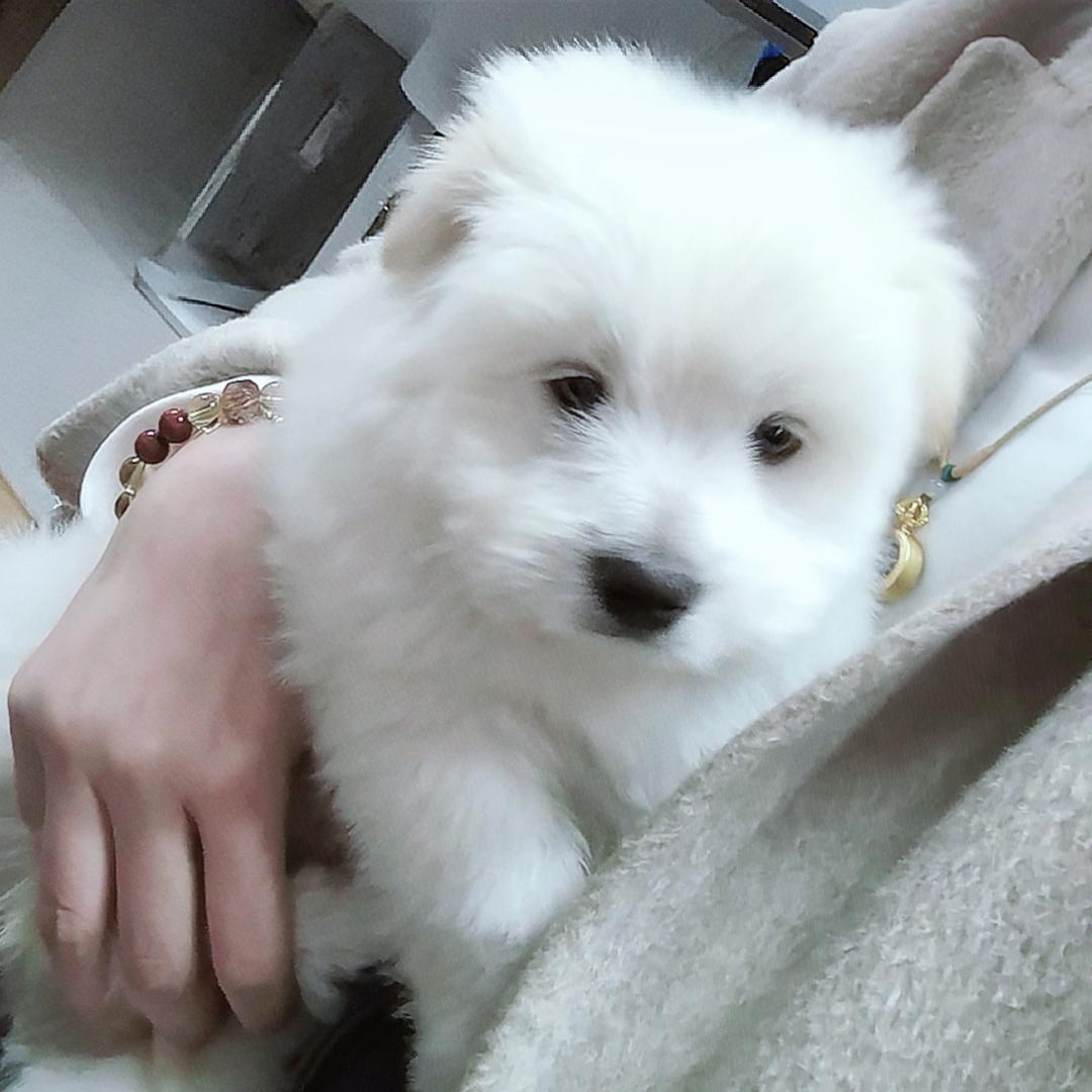 李美珍（记录生活）