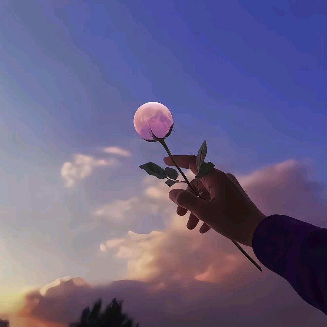 On. Ly