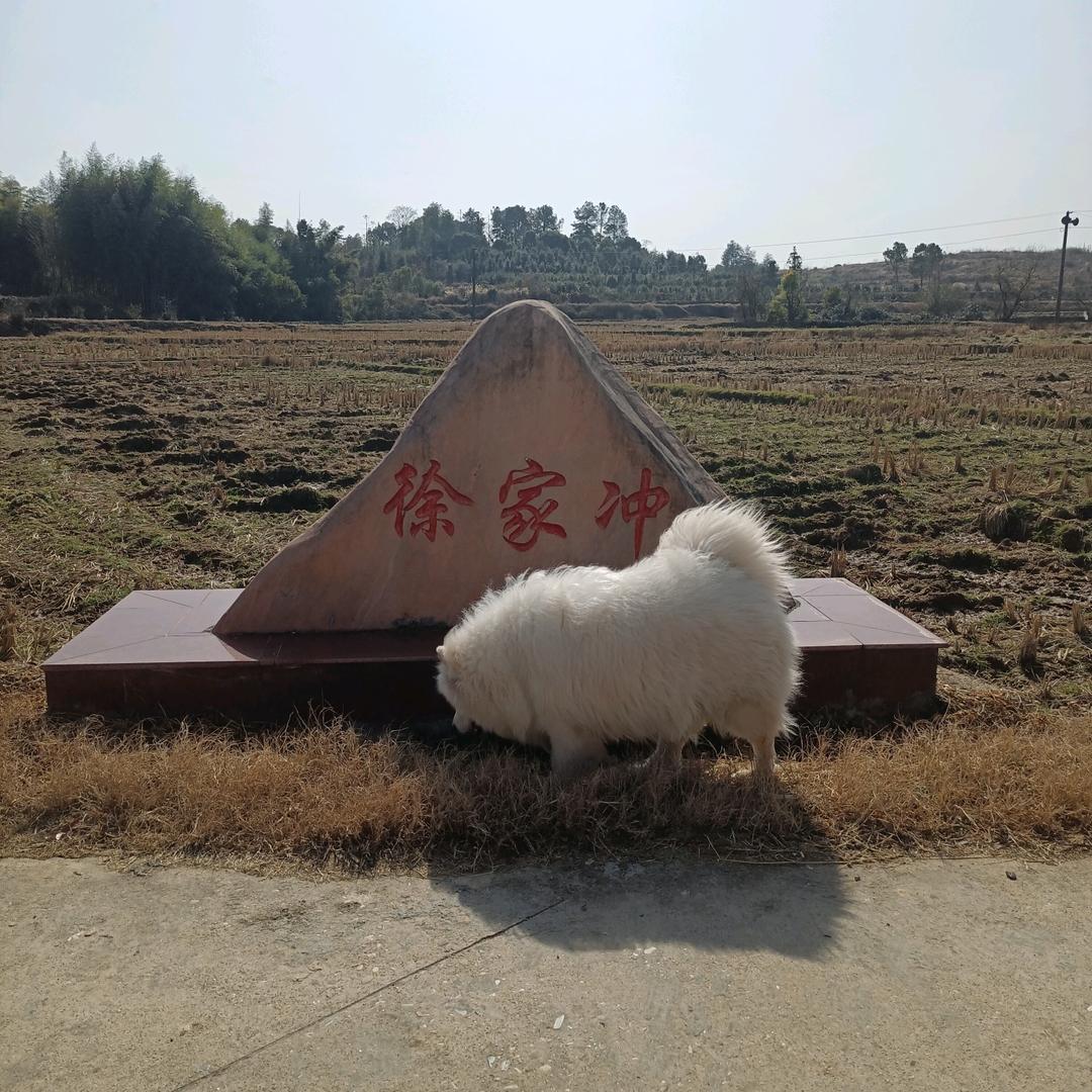 不老的七零后