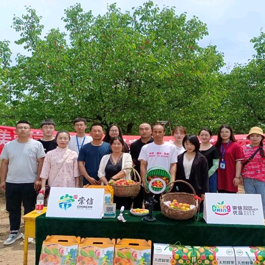 崇信雨森纸品销售