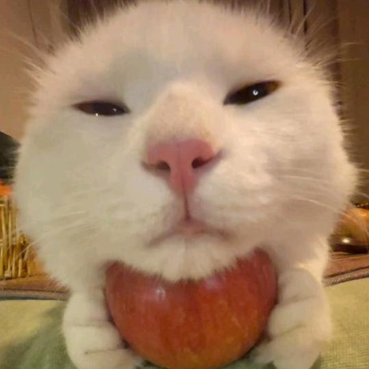 𝒞梨涡远点꒦ິ^꒦ີ