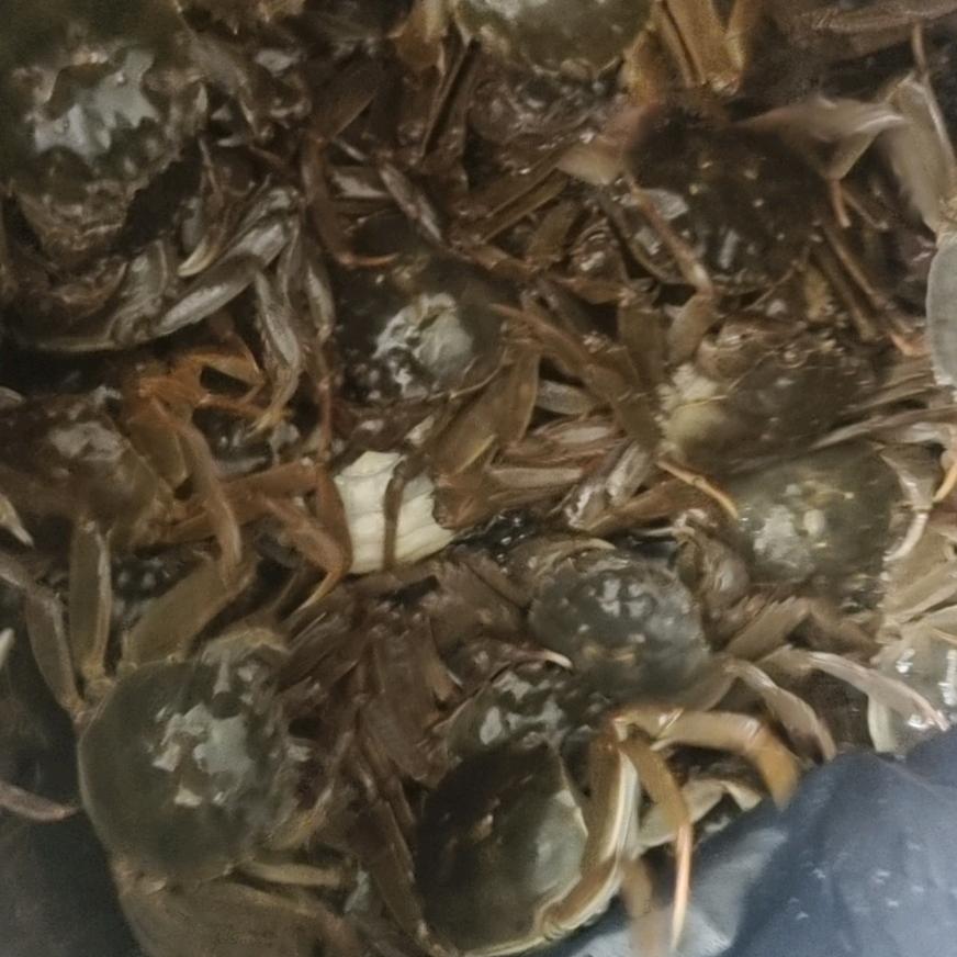 迷迷糊糊稀里糊涂