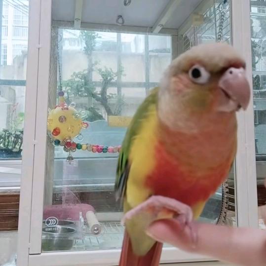 郭姐