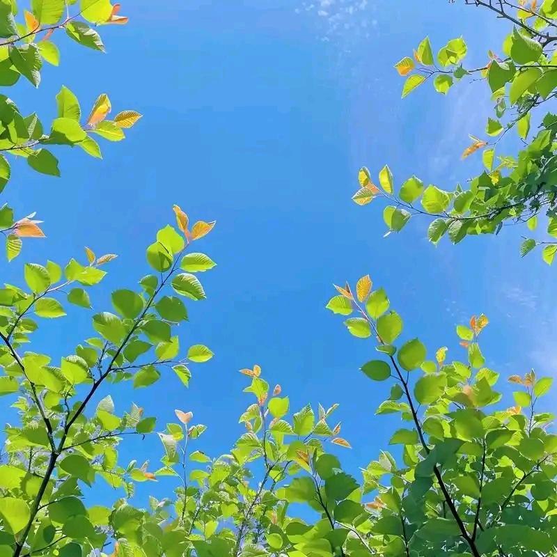 🌈董