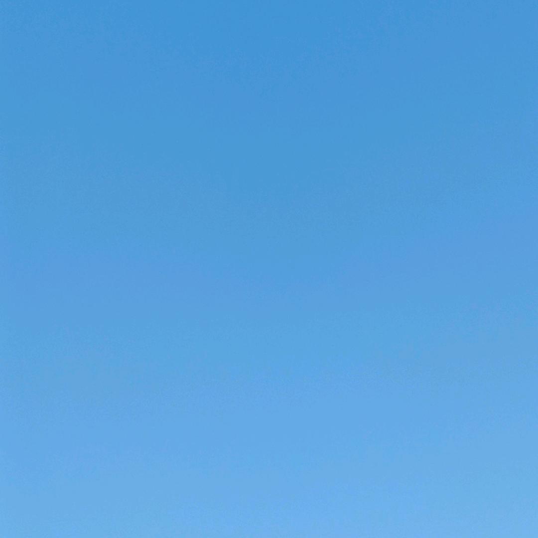 但行好事，莫问前程