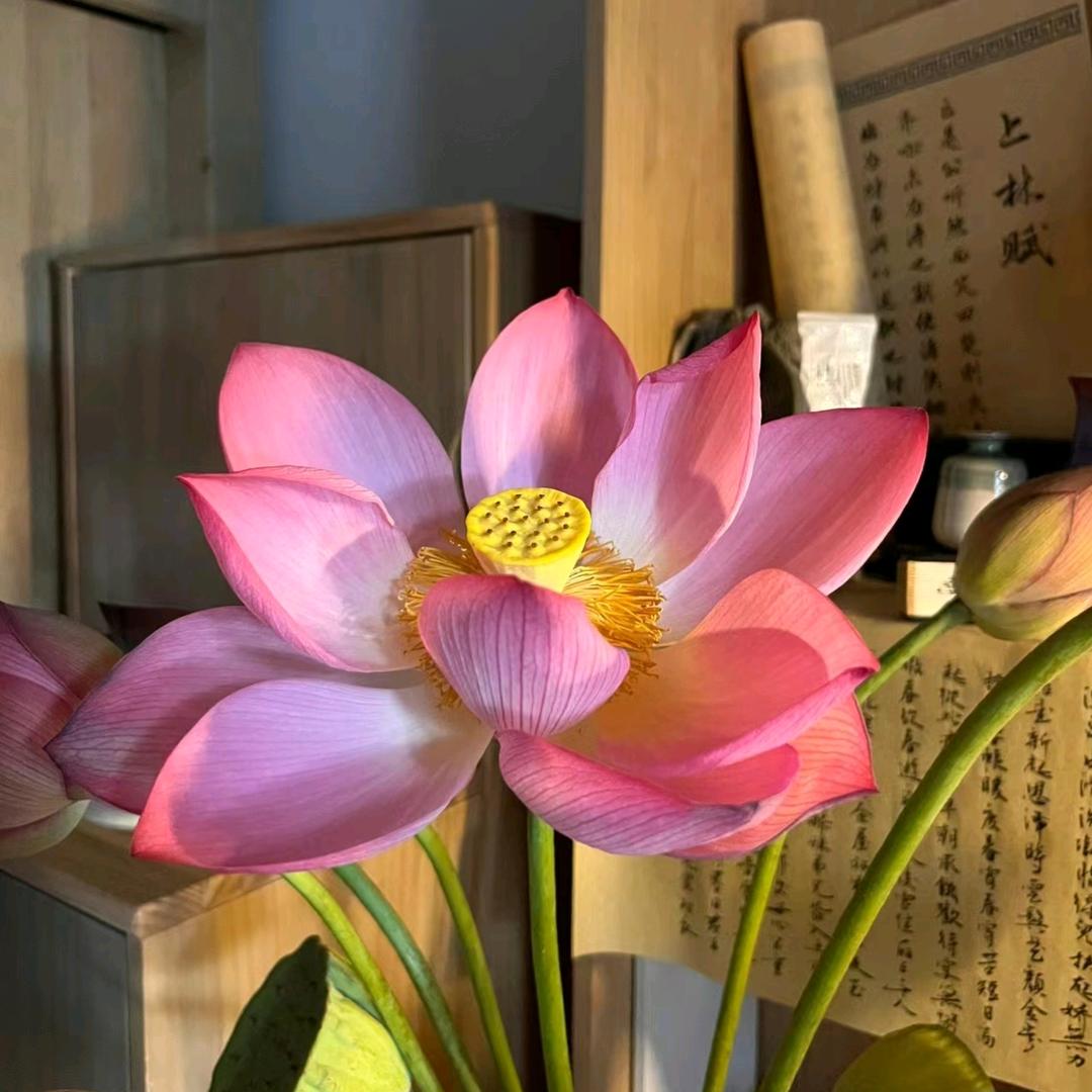 香