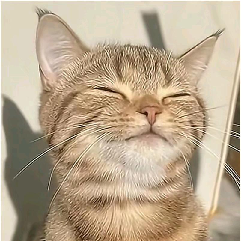 @是燕姐呀🇨🇳