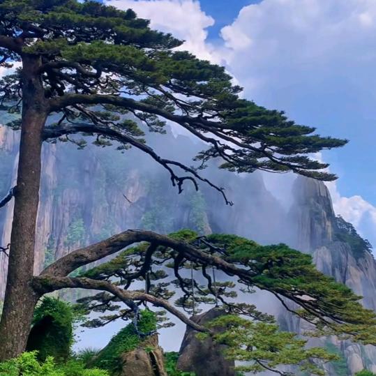 黄山游