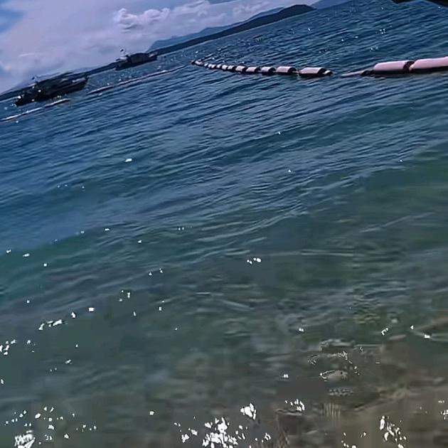 浅浅