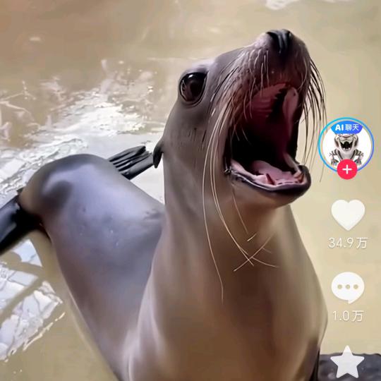 ghj