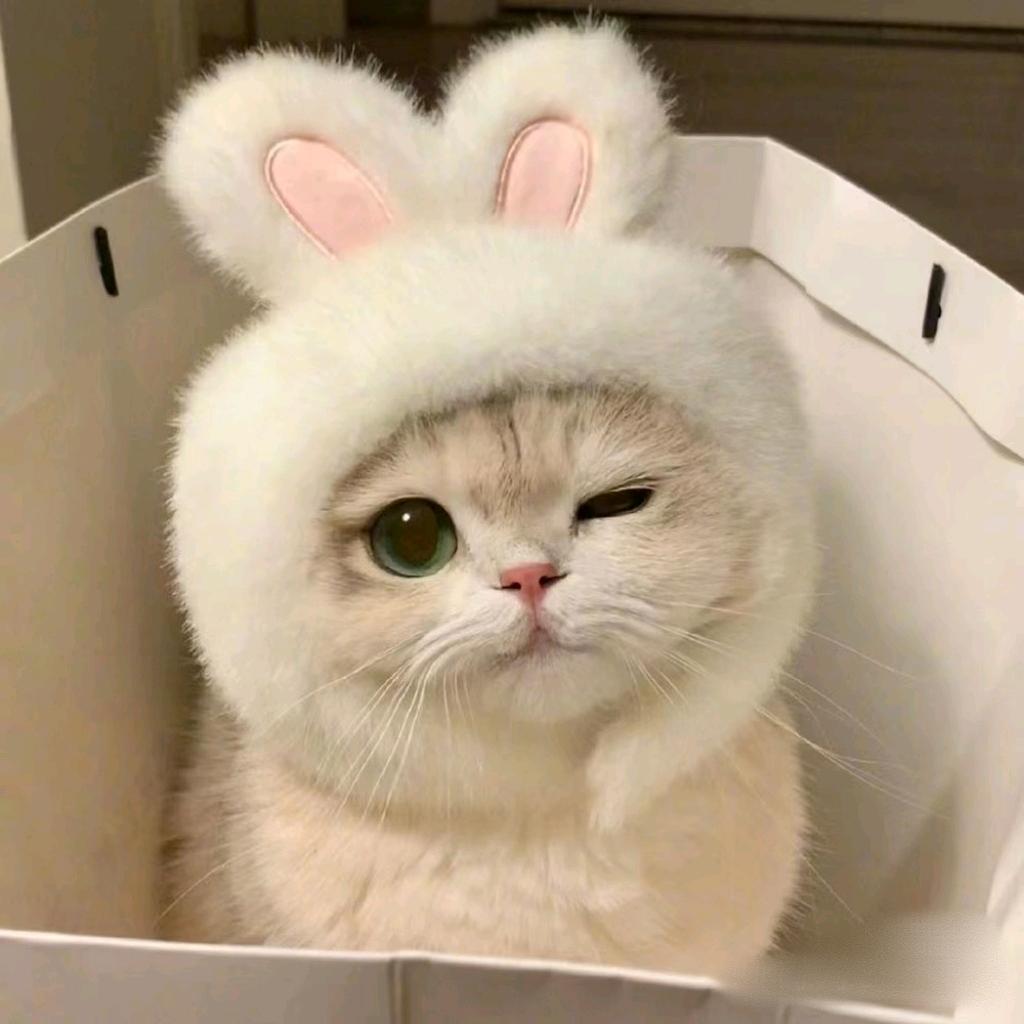 好吧小运