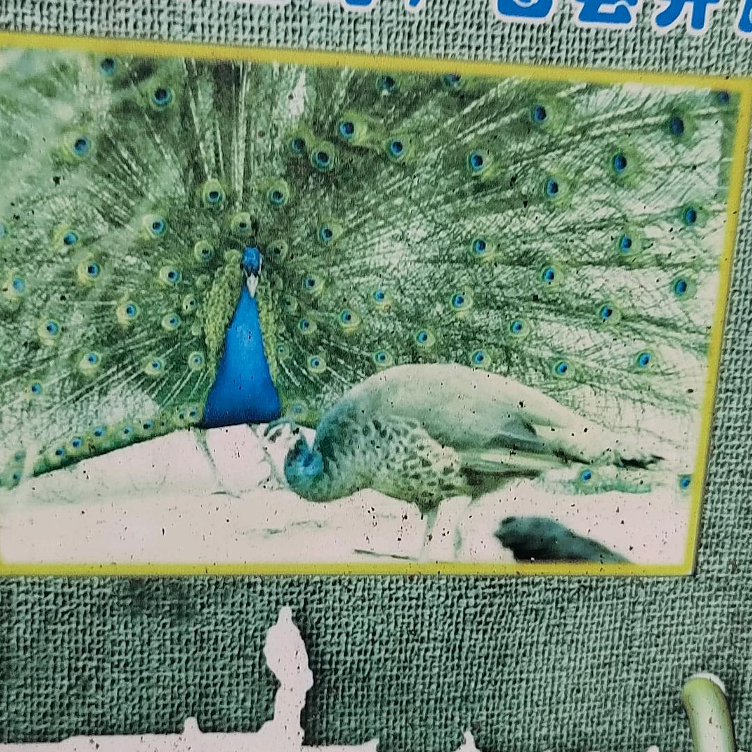 默默守护幸福王姐。