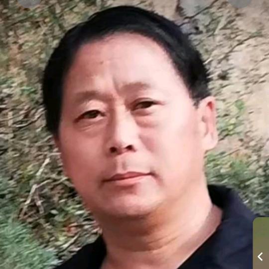 （国哥）电影直播