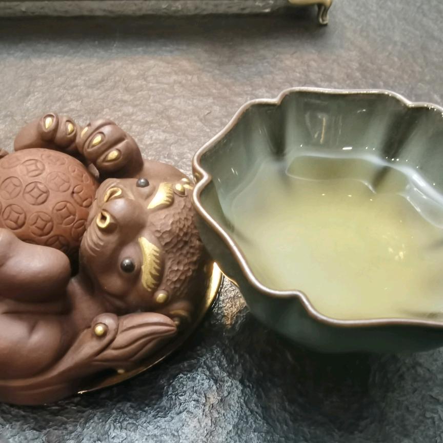 老茶友