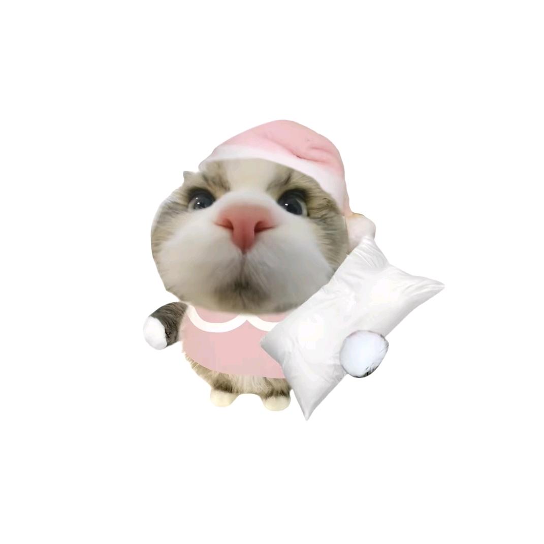 太阳天